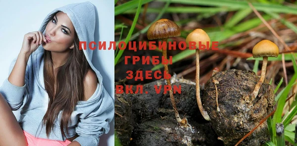 метадон Алзамай