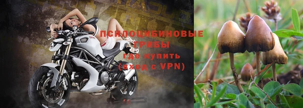 героин Алексин