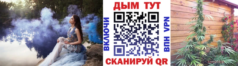 MEGA вход  Углич  Бошки Шишки гибрид 